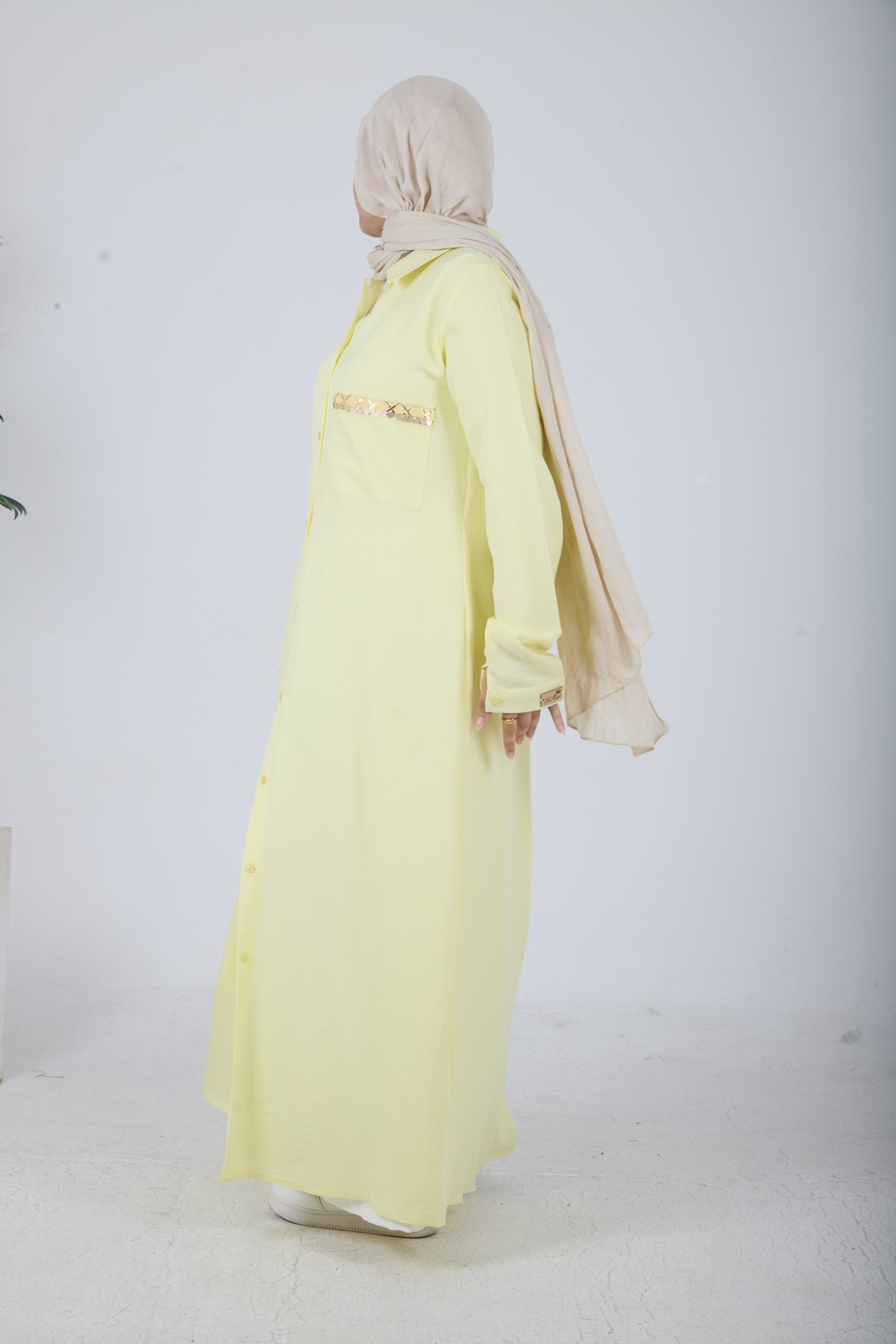 Ghazal Shirt Dress